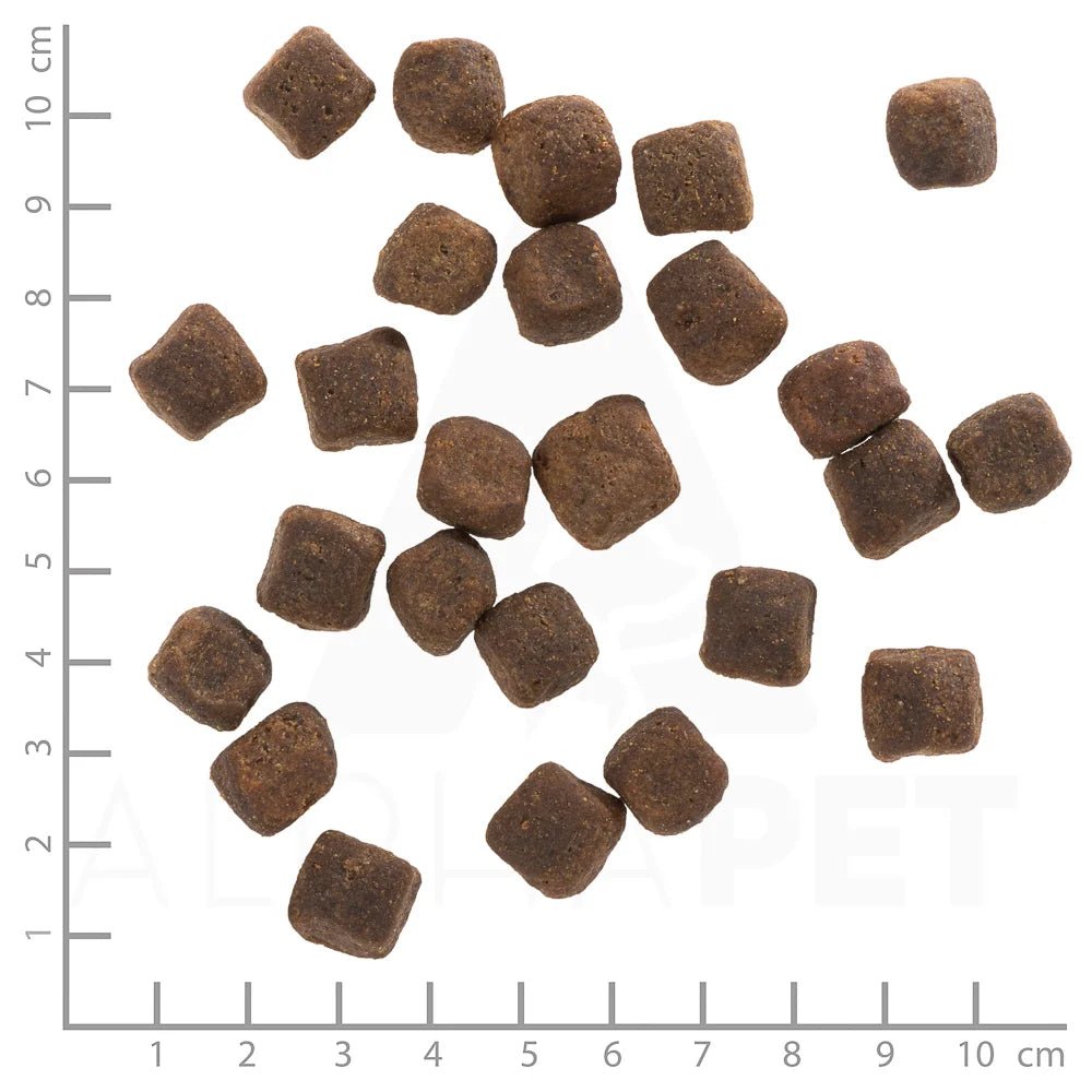 Wolfsblut Dark Forest Adult суха храна за кучета с дивечово месо и сладки картофи, 2 кг - Wolfsblut храна за кучета