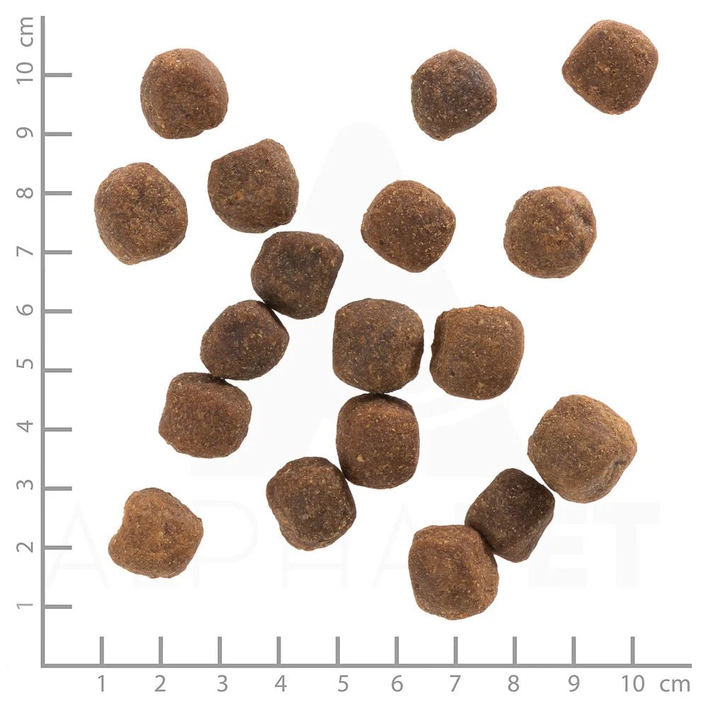 Wolfsblut Wild Duck Adult суха храна за кучета с дива патица и картофи, 2 кг - Wolfsblut храна за кучета