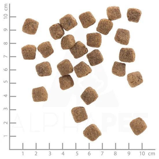 Wolfsblut Wild Duck Senior суха храна за възрастни кучета с дива патица и картофи, 12.5 кг - Wolfsblut храна за кучета